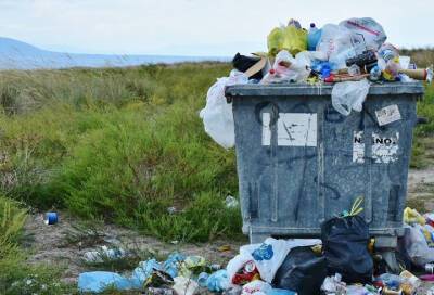 В Курголово задержали водителя за нелегальную свалку мусора - online47.ru - район Волосовский