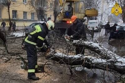 Из-за непогоды спасатели Тверской области оказывают людям адресную помощь