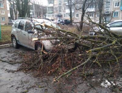 В Краснодаре ураганный ветер повредил 20 транспортных средств