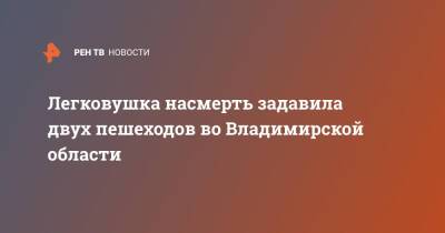 Легковушка насмерть задавила двух пешеходов во Владимирской области - ren.tv - Владимирская обл.
