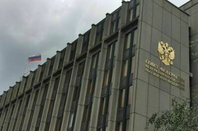 Совет Федерации одобрил закон о борьбе с авиадебоширами