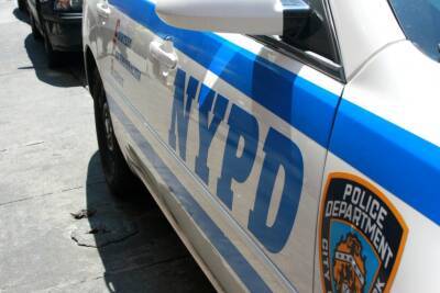 Полиция Нью-Йорка расследует нападение на еврейских детей и мира