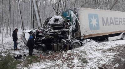 В Речицком районе в ДТП с двумя фурами погиб водитель