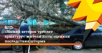 «Легкий ветерок треплет арматуру»: жители Ялты оценили последствия шторма