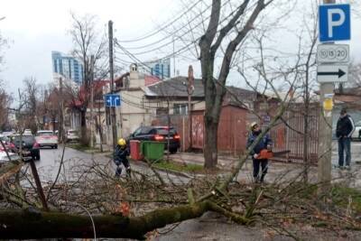 Последствия шквалистого ветра в Краснодаре устраняют 25 аварийных бригад