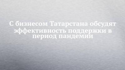С бизнесом Татарстана обсудят эффективность поддержки в период пандемии