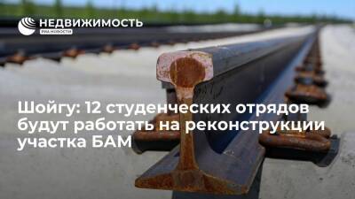 Шойгу: 12 студенческих отрядов будут работать на реконструкции участка БАМ Улак-Февральск