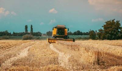 России обновила рекорд по экспорту сельхозпродукции