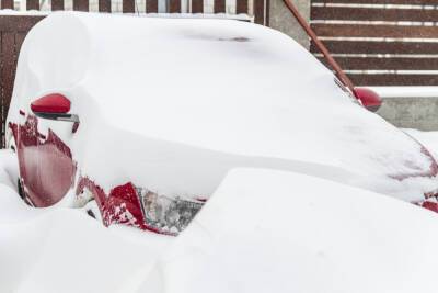 Два автомобиля застряли в снегу в Гатчинском районе