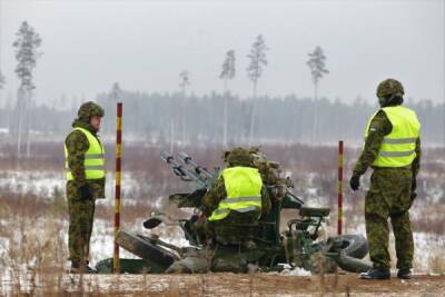 В Эстонии спорят: За какие средства покупать систему ПВО средней дальности?