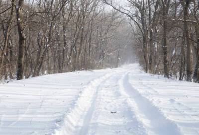 Уборку снега в Ленобласти координирует «Снежный штаб»