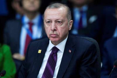 МИД РФ: Турция не станет посредников в урегулировании конфликта в Донбассе