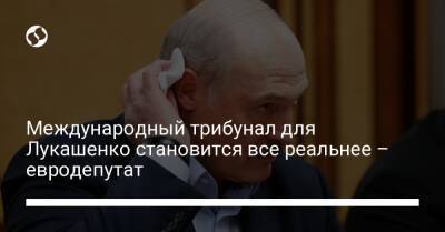 Международный трибунал для Лукашенко становится все реальнее – евродепутат