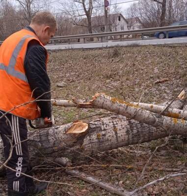 15 деревьев и столбов упало в Нижнем Новгороде из-за сильного ветра
