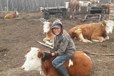 Попросивший корову у Путина якутский мальчик дождался ее