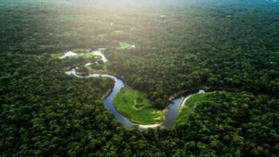На столько ли опасна самая длинная река в мире Амазонка