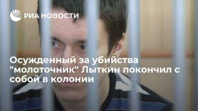 Осужденный за шесть убийств в Иркутске "молоточник" Лыткин покончил с собой в колонии