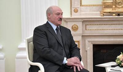 Член Совфеда прокомментировал заявление Лукашенко о Крыме