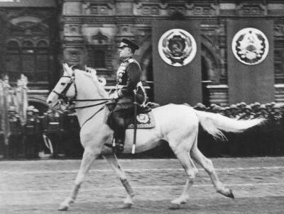 «Упал с коня»: почему Парад Победы вместо Сталина принимал Жуков - Русская семерка