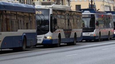 Возрождение троллейбусов в Воронеже оценили в 6,6 млрд рублей
