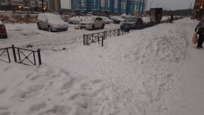 Молодые матери не могут гулять по улицам Петербурга из-за сугробов и льда