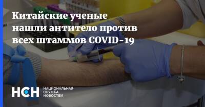 Китайские ученые нашли антитело против всех штаммов COVID-19