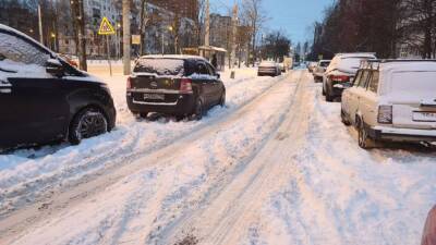 Герман Владимиров: быстро спасти Петербург от снега можно лишь при отсутствии машин и пешеходов