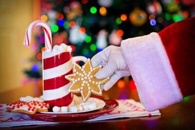 Эксперты назвали стоимость приглашения Деда Мороза и Снегурочки в Уфе