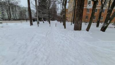 Циклон обрушился на Петербург более миллиона кубометров снега за два дня
