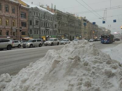 Портал «Наш Санкт-Петербург» бомбардировали жалобами на неубранный снег