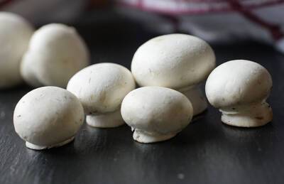 Спрос на грибы растет: шампиньоны отправляют через всю страну
