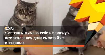 «Отстань, ничего тебе не скажу!»: кот отказался давать хозяйке интервью