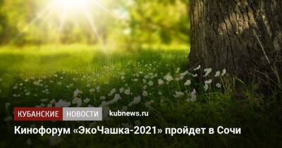 Кинофорум «ЭкоЧашка-2021» пройдет в Сочи