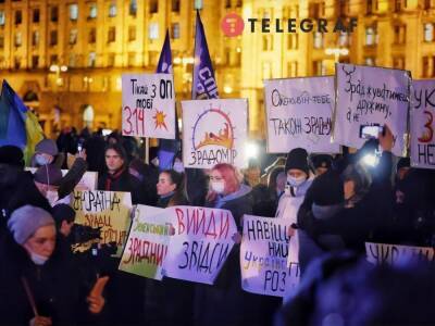 Митингующие на Майдане договорились о создании координационного совета объединенной оппозиции для "штурма позорной зеленой пока что власти"
