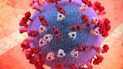 Иммунолог Болибок: коронавирус может скреститься с ВИЧ
