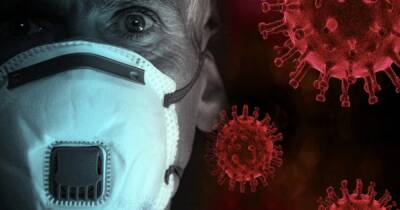 В Японии создали светящуюся при контакте со следами коронавируса маску
