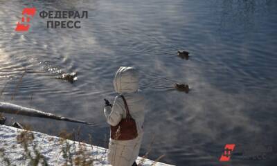 В Петербурге 10 декабря потеплеет до –15 градусов