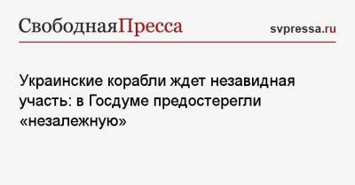 Украинские корабли ждет незавидная участь: в Госдуме предостерегли «незалежную»
