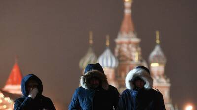 Тишковец: ночь на 10 декабря стала самой холодной в этом сезоне в Москве