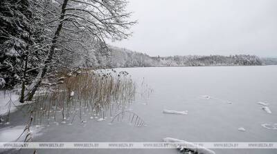 В Витебской области к зимним заморам рыбы предрасположен 41 водоем