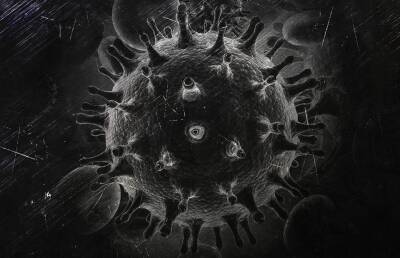Описано возможное «скрещивание» COVID-19 с ВИЧ с полным «выключением» иммунитета