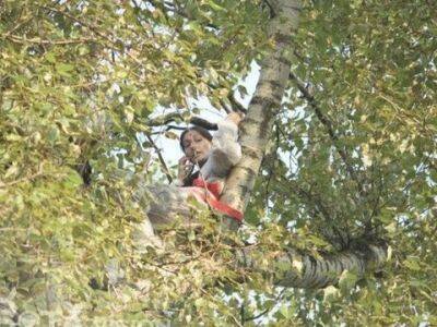Ольга Кузьмина - Против экоактивистки, с арбалетом привязавшей себя к дереву, составили протокол из-за пяти сломанных ветвей - kasparov.ru - Москва