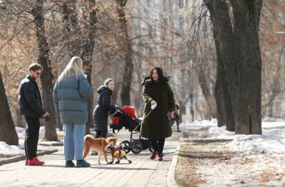Кинологи дали советы, как уберечь лапы собак от зимних реагентов - vm.ru - Россия