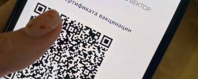В торговых центрах Барнаула игнорируют требование проверять QR-коды