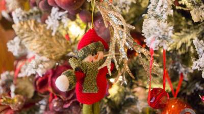 Эксперты рассказали об ошибках при украшении новогодней елки