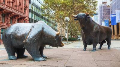 Быки или медведи: Почему аналитики дают противоположные прогнозы для фондового рынка