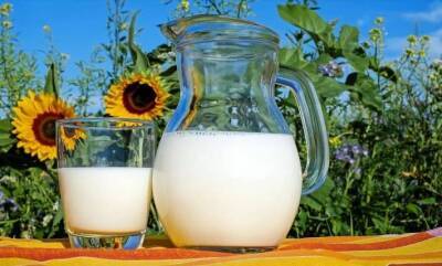 Express: употребление молока может увеличить риск заболевания раком груди