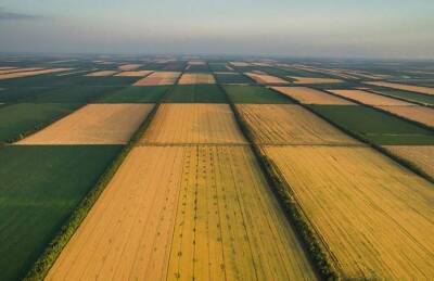 Названы болевые точки рынка земли - agroportal.ua - Украина