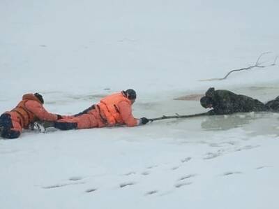 Двое рыбаков провалились под лед на озере в Борском районе