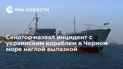 Сенатор Цеков: провокацией с военным кораблем Украина проверяла Россию на прочность